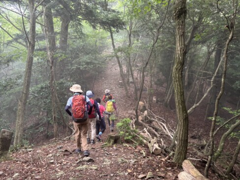 もやってる登山道もいいですね。
