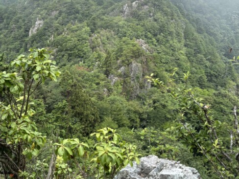 この岩の間を歩いてきたのですね。