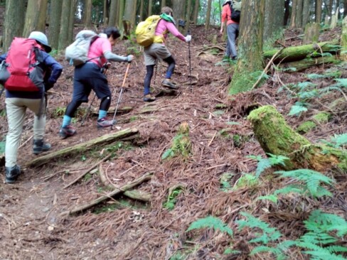 だんだん傾斜が急になってきました。