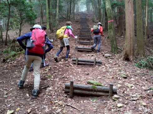 うーーー、階段だあ。長いねーーー!!