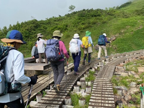 唐松岳山頂目指して、一歩一歩頑張ろう。登りは、木道ルート。