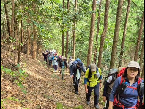 そこそこ急な杉の植林帯。