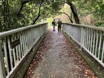 布留の高橋。北コースの最初のスポットで、石上神宮から東へ100mほどのところにある布留川にかかる小さな橋。日本書記や万葉集にも登場しています。