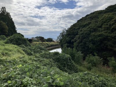 第10代崇神天皇陵。全長240mの巨大な前方後円墳で、周囲には高い堤がめぐり、濠には満々と水をたたえています。