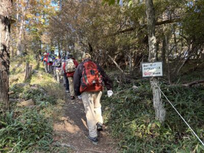標識やロープなど、よく整備されています。