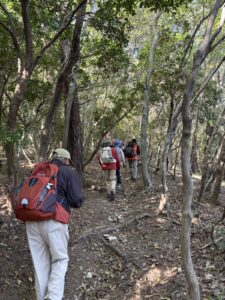 自然林の中を歩くのは、光が入って気持ちがいいですね。