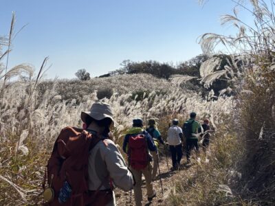ススキの穂が光る中を下山します。