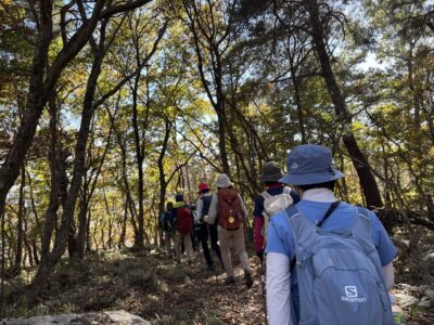 皆さん行儀良く並んで歩いてます。