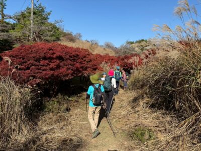 先頭のWAO亀岡の方のリードで、山頂を目指します。
