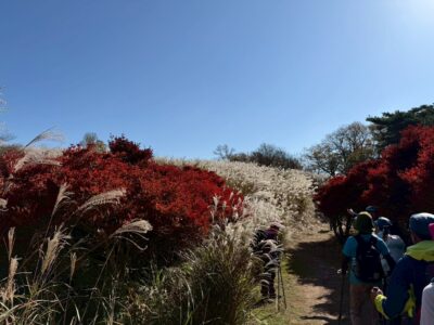 うっとりする景色です。