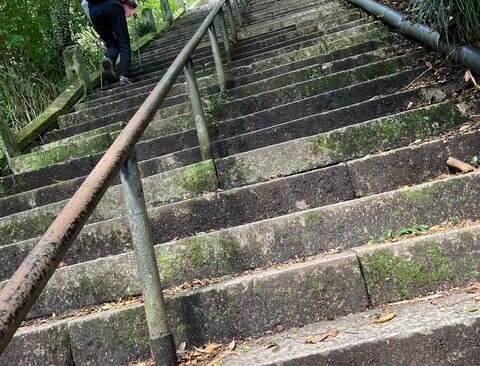 名物?の階段。きついです😖