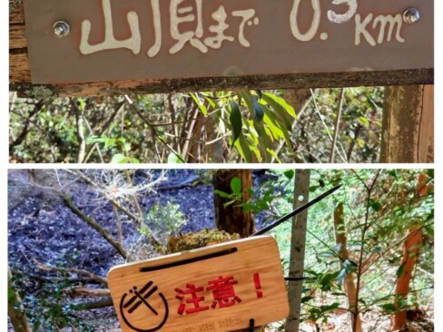 標識も整備されています。