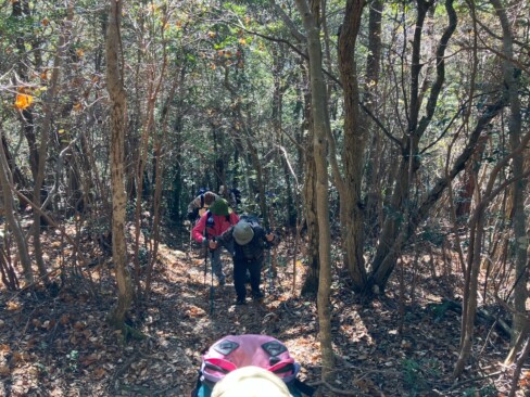 木漏れ日の中を一歩一歩歩きます。