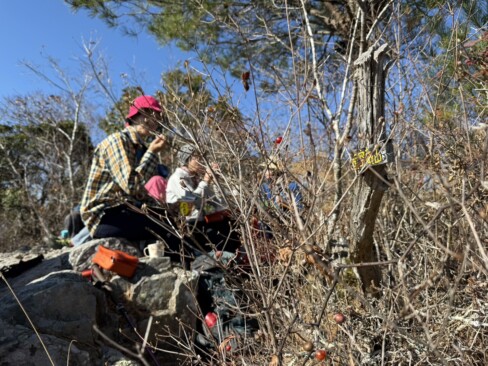 山頂付近で昼食。春にはミツバツツジが楽しめそう