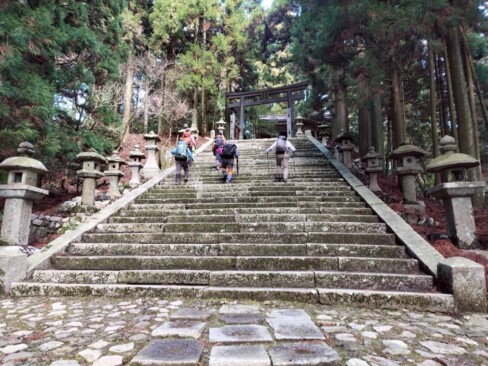 階段はえらい。けど、こんな山の上に神社を建てた昔の人は、ほんまに偉い!!
