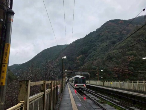 帰りの電車が入ってきました。電車に乗れば、のーーんびりです。