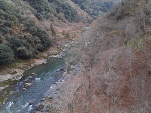 木々の間から、保津川とトロッコ列車のレールが見えます。