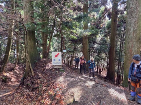 周りの木々が大きすぎて・・・歴史を感じますね。