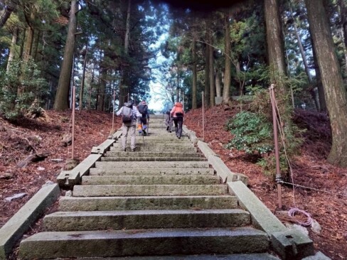 この階段がきついやんなあ・・・
