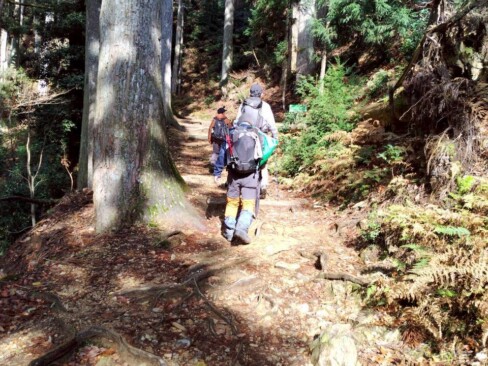 太陽も顔を出して、気持ちよく歩けます。