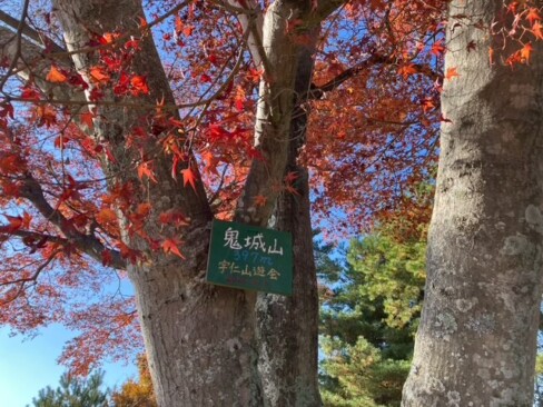 やっと見つけた山頂のプレート。標高397m。