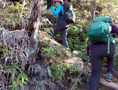 なかなか急なところもあるので、要注意。