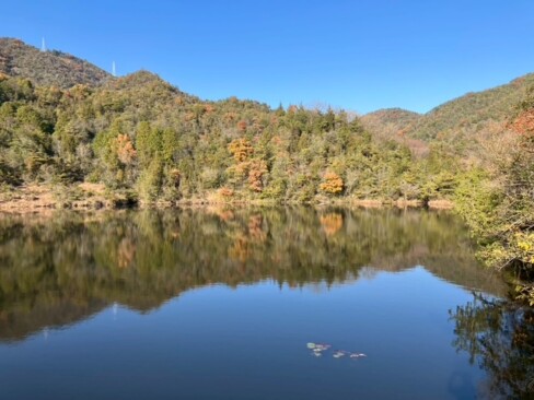 右手に大きな池が見えたら、ゴールまであと少し。