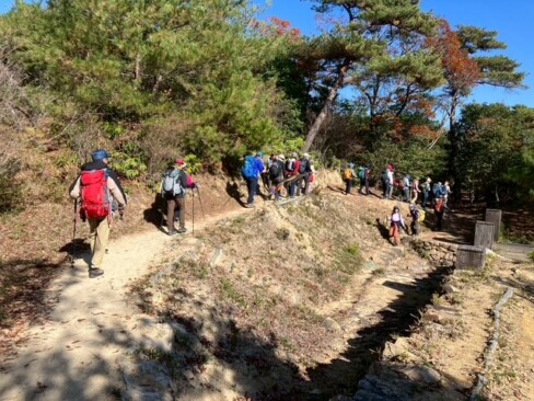 城壁や門に沿って、ウォーキングコースが整備されていま。。