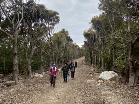 後山からピストンで、来た道を戻ります。