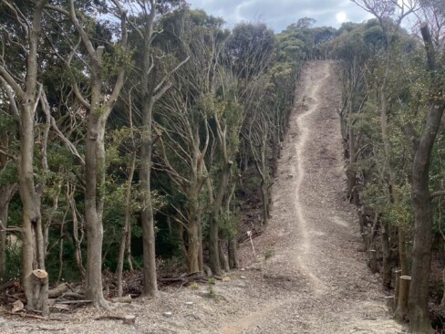 みんなの踏み跡がくっきりと。