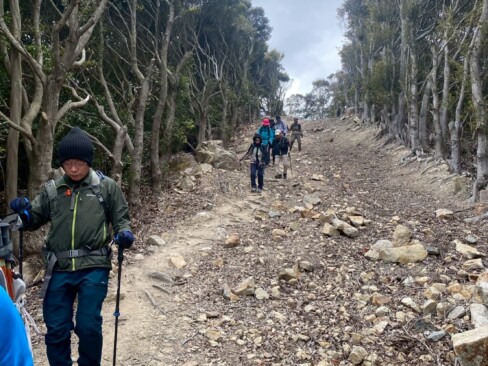 広い登山道ですねーーー。