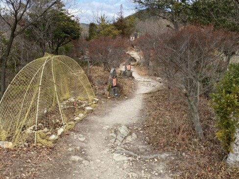 ドウダンツツジの幼木が植えられています。その向こうには、ミニ四国八十八カ所の石仏が見えますね。