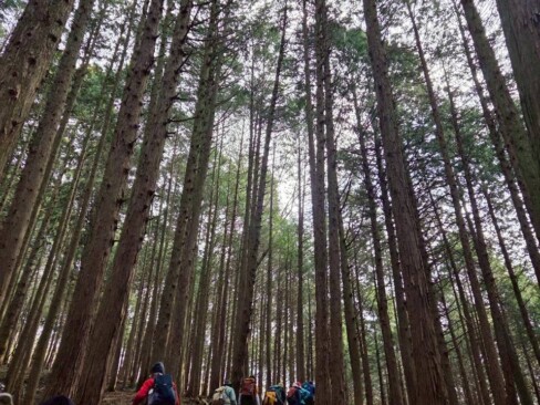 きれいな登山道です。気持ちがいい(≧∀≦)