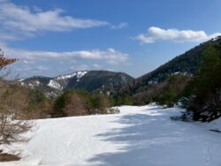 おお、真っ白。