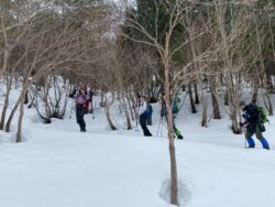 葉が落ちた木々の間を歩くって、いいよねーー(*^_^*)