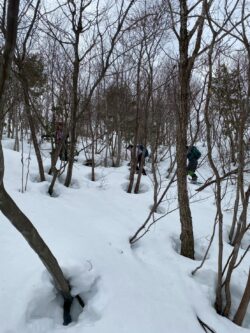 雪が溶けたところの穴ぼこが面白い。