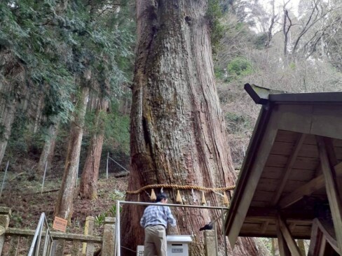 ほんまに大きい!1