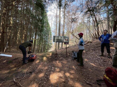 木漏れ日がすてきです。