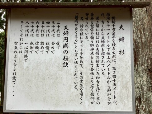 夫婦円満の秘訣!!なるほど!!