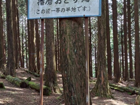 昔の人も、このあたりでほっと一息、休憩をしていたのかも・・・