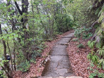 行程全体はアップダウンを繰り返しながら進んで行きます。