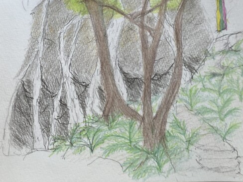 滝と回りの草木が丁寧に描かれていると思います(N・H)