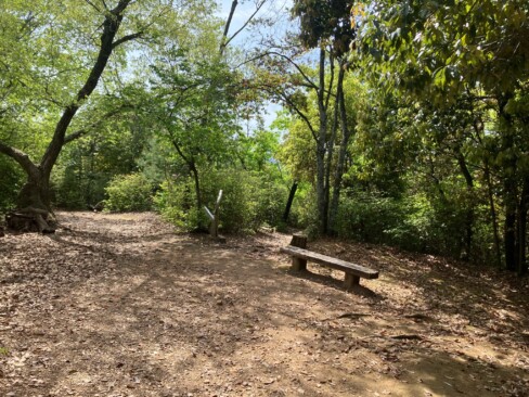 三の丘、頂上付近