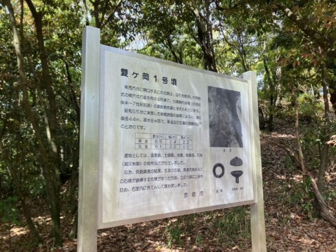 双ヶ丘には古墳時代後期に造られたとされる24基もの古墳が点在しているそうです。