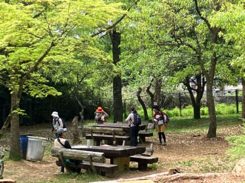 昼食を摂った「木漏れ日の広場」まさにその名の通り、新緑が心地良く広がっていました。