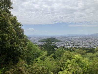 歩き始めて約30分。正面に朝歩いて来た双ヶ丘を望むことができました。