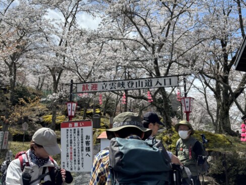 こちらも満開です。