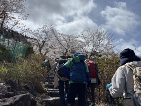 整備されてはいますが、なかなかの急登