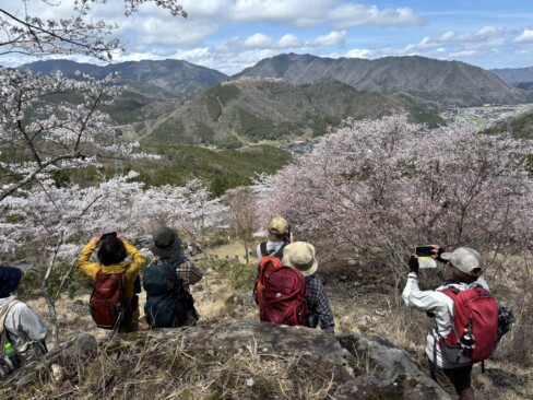 展望台も整備されています。