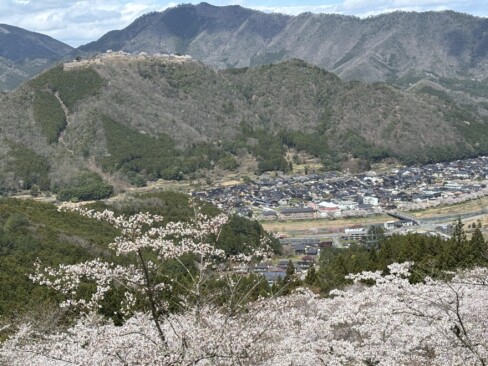 城下町もよく見えていますね。